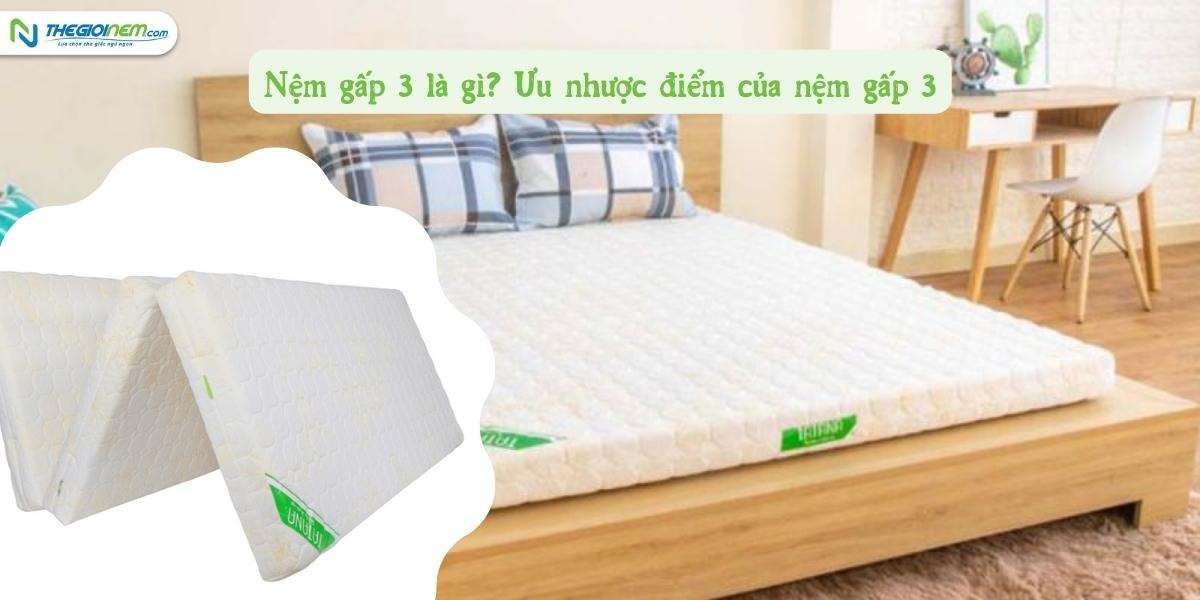 Mua nệm gấp 3 giá rẻ Long Xuyên | Thegioinem.com