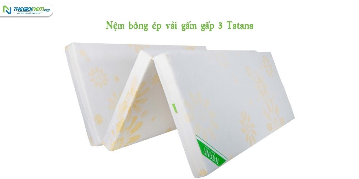 Mua nệm gấp 3 giá rẻ Long Xuyên | Thegioinem.com