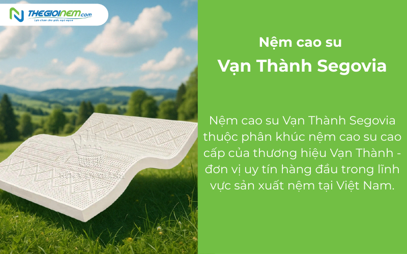 Tổng quan về nệm cao su Vạn Thành Segovia