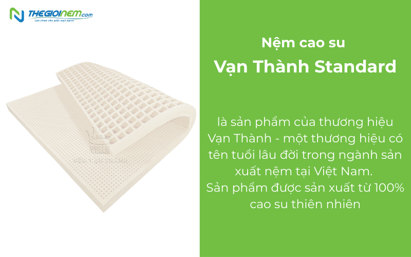 Tổng quan về nệm cao su Vạn Thành Standard