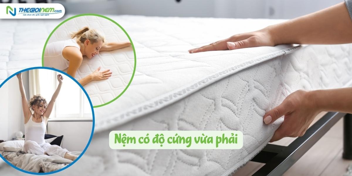 Cách chọn nệm cho người bệnh thoát vị đĩa đệm. Mua nệm ở đâu tốt
