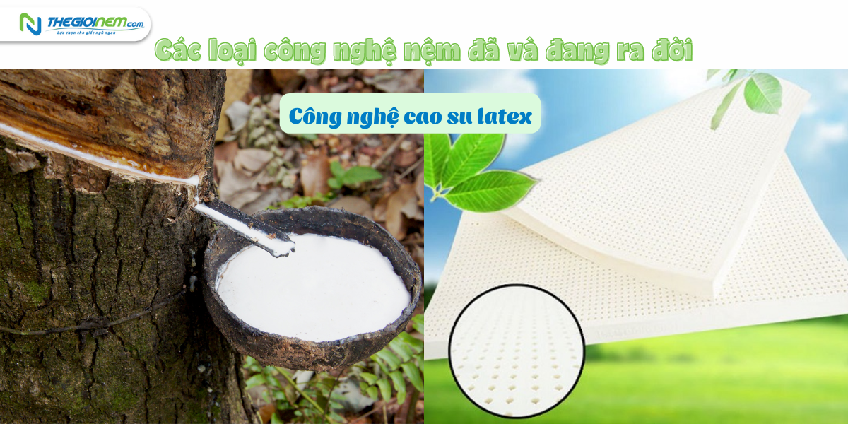 Công nghệ sản xuất nệm trên thế giới đã phát triển như thế nào?