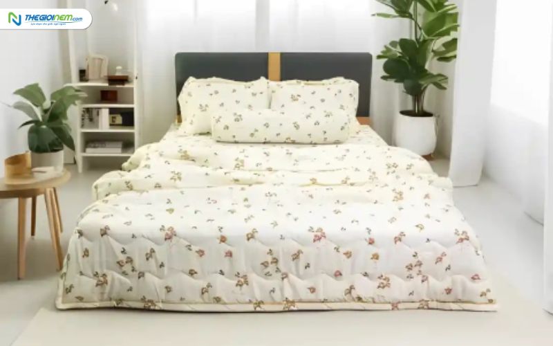 Cửa Hàng Chăn-Ga-Gối-Đệm Chính Hãng Giá Rẻ