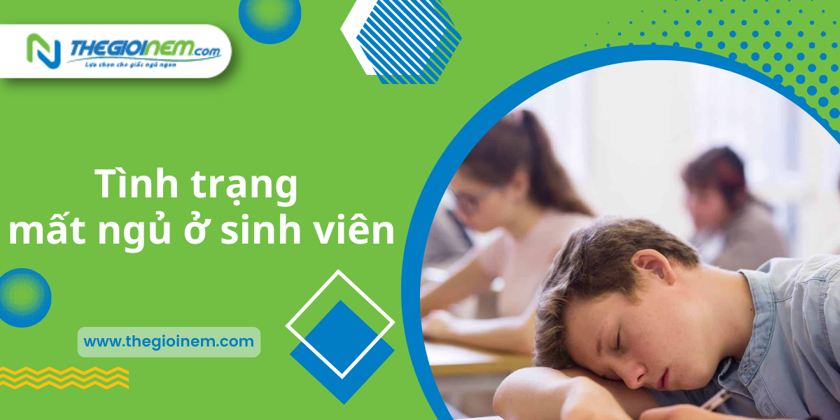 Kinh nghiệm mua nệm cho sinh viên năm 2022