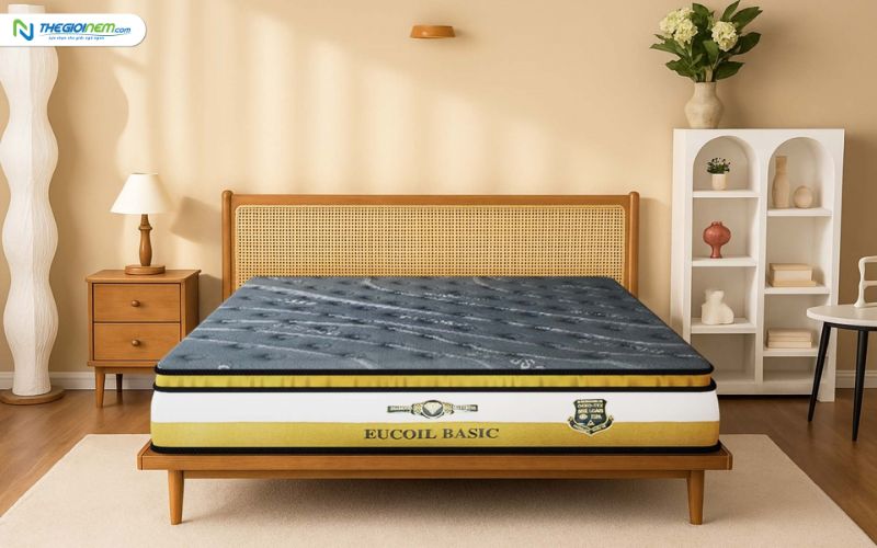 Mua Nệm Lò Xo Chính Hãng Giá Rẻ Tại Mỹ Tho - Tiền Giang
