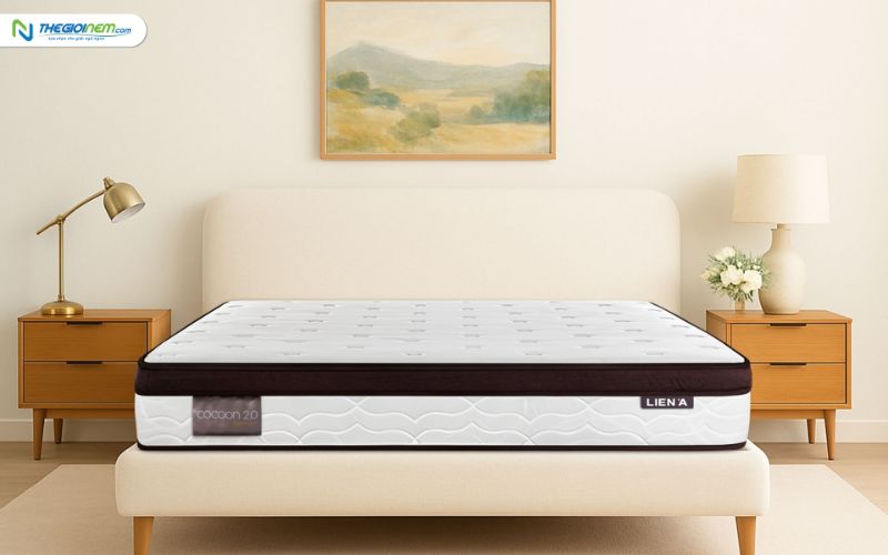 Mua Nệm Lò Xo Chính Hãng Giá Rẻ Tại Mỹ Tho - Tiền Giang