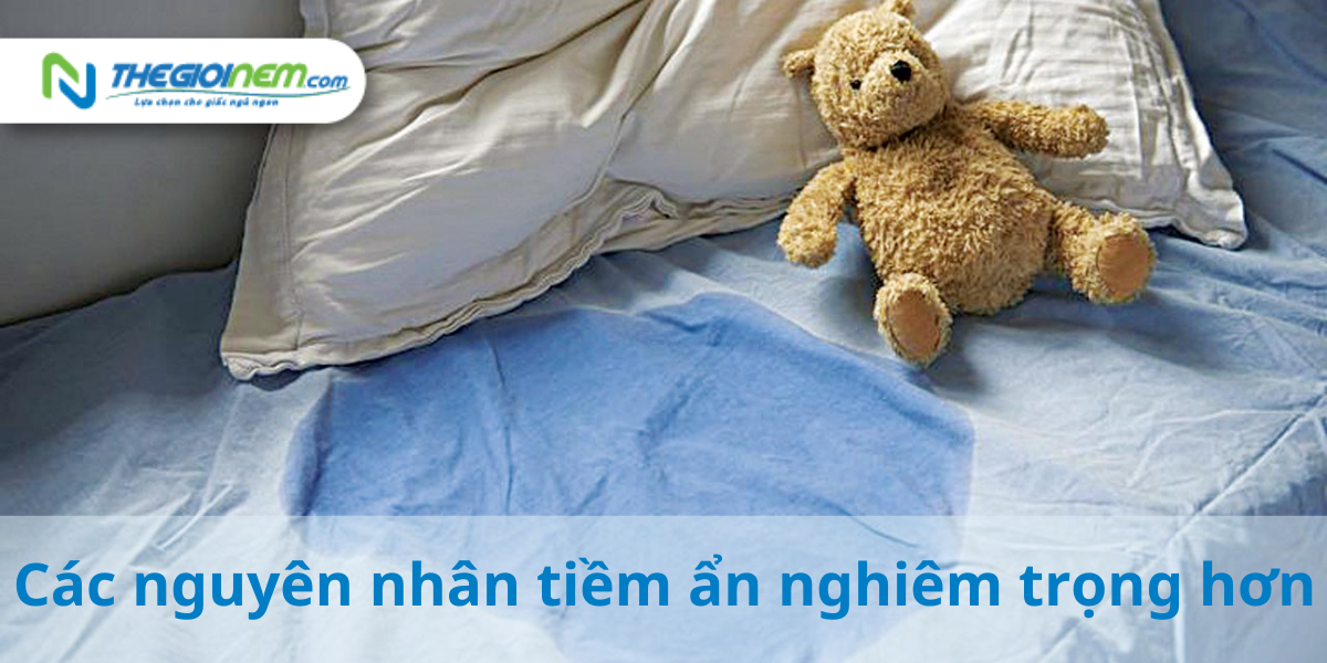 Nguyên nhân tiềm ẩn của hội chứng tè dầm ở trẻ sơ sinh