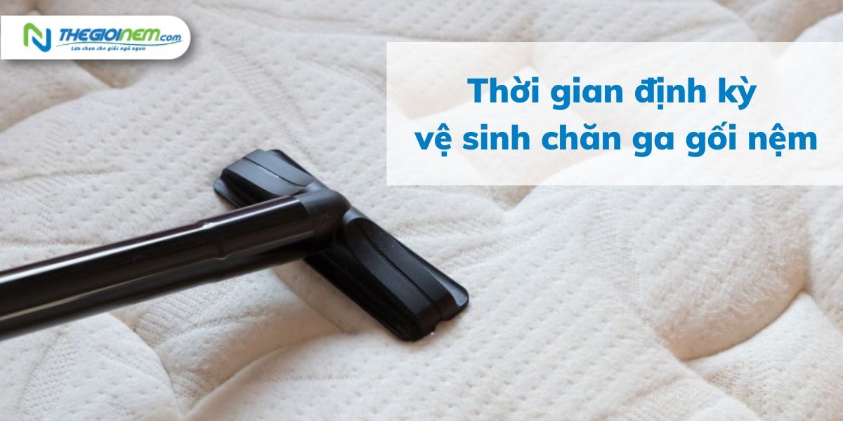 Cách Chăm Sóc Và Bảo Quản Nệm Đúng