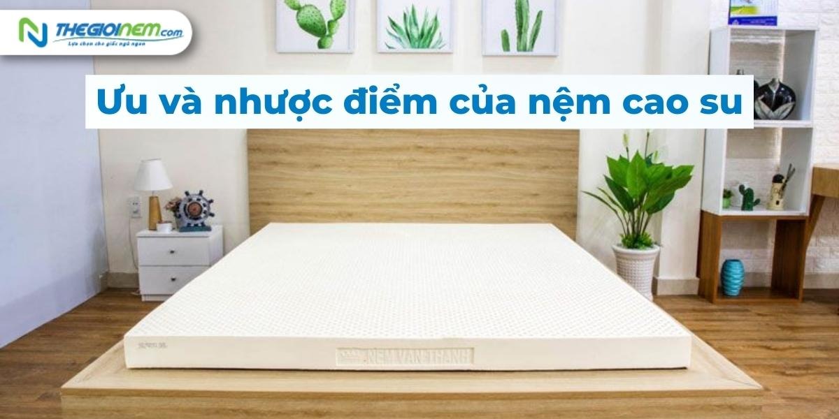 Cửa hàng bán nệm cao su chính hãng tại Tây Ninh