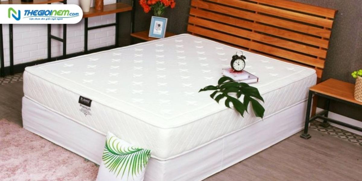 Đại Lý Nệm Edena Chính Hãng, Giá Rẻ Tại Tây Ninh