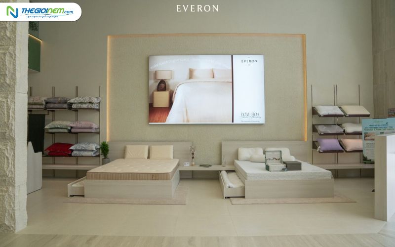 Đại Lý Nệm Everon Giá Rẻ, Uy Tín Tại Tiền Giang