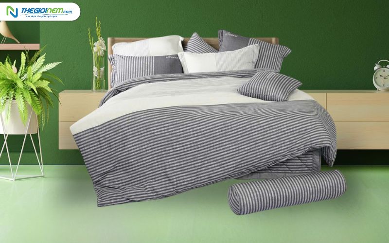 Đại Lý Nệm Everon Giá Rẻ, Uy Tín Tại Tiền Giang
