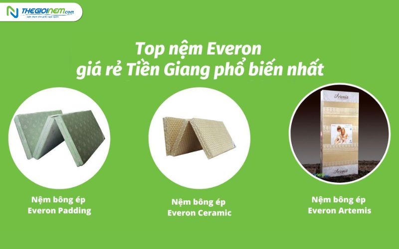 Đại Lý Nệm Everon Giá Rẻ, Uy Tín Tại Tiền Giang