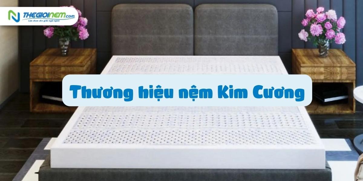 Đại lý Nệm Kim Cương tại Củ Chi