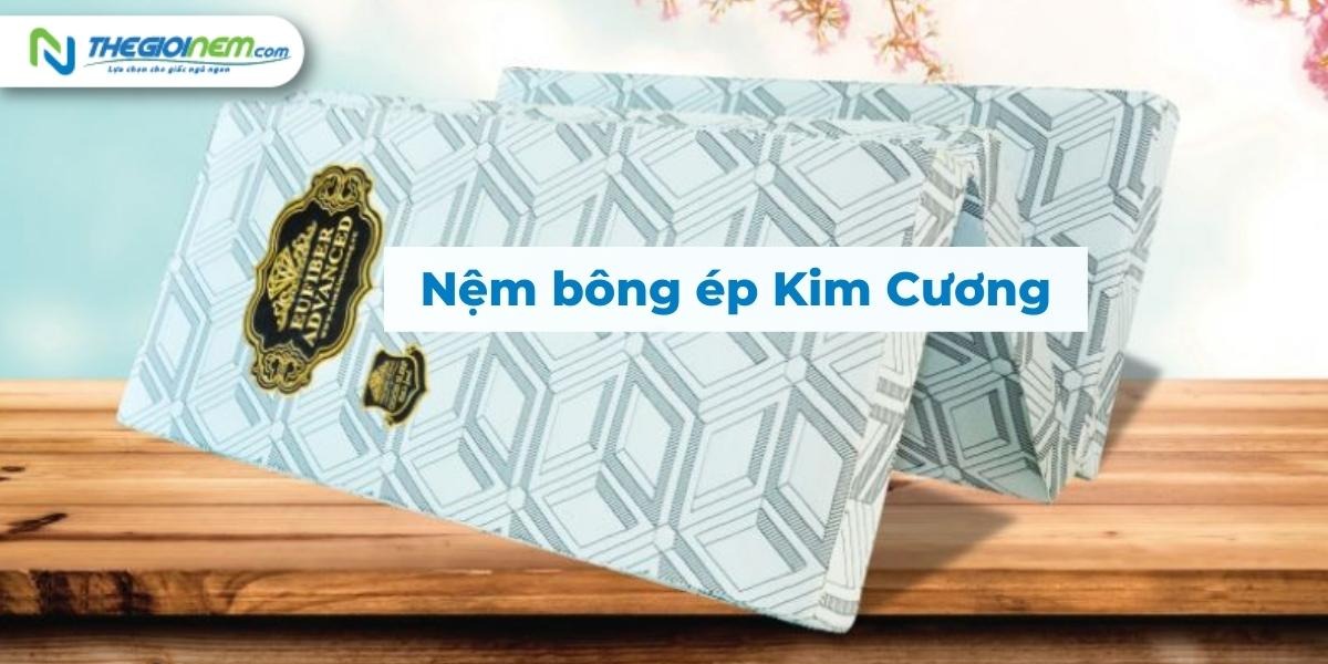 Đại lý Nệm Kim Cương tại Củ Chi