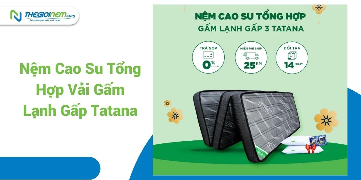 Đại lý nệm TATANA giá rẻ tại Đức Hòa - Long An