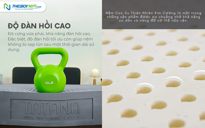 Độ đàn hồi và hỗ trợ cơ thể