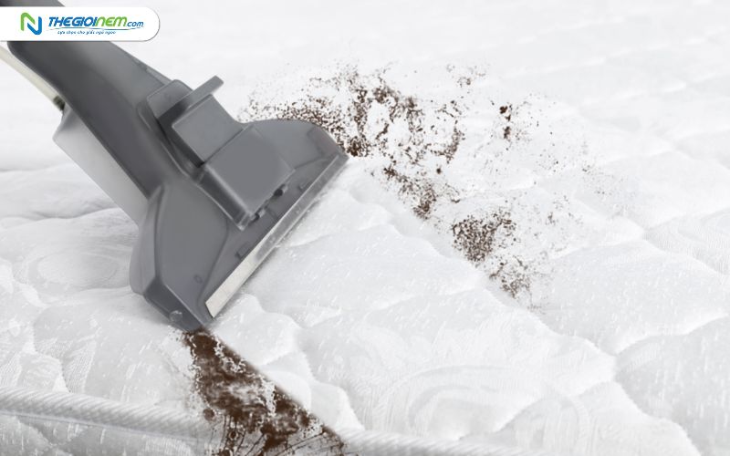 Cửa hàng bán nệm bông ép tại Cam Lâm, Khánh Hòa