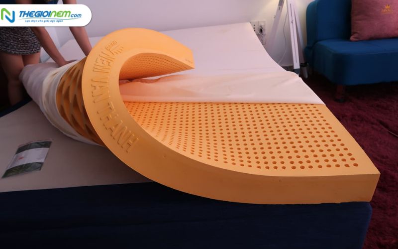 Đại lý bán nệm Vạn Thành chính hãng quận 11