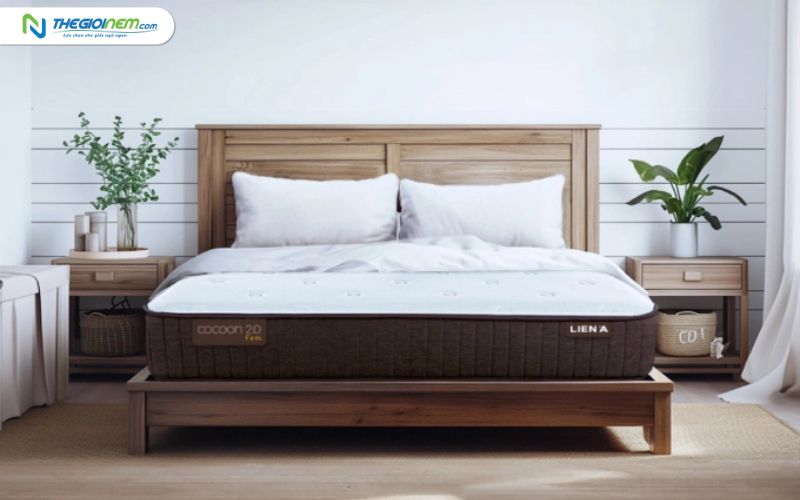 Địa chỉ mua nệm Liên Á trả góp tại quận 3 | Thegioinem.com