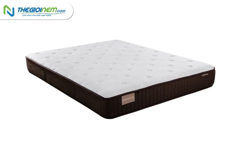 Địa chỉ mua nệm Liên Á trả góp tại quận 3 | Thegioinem.com