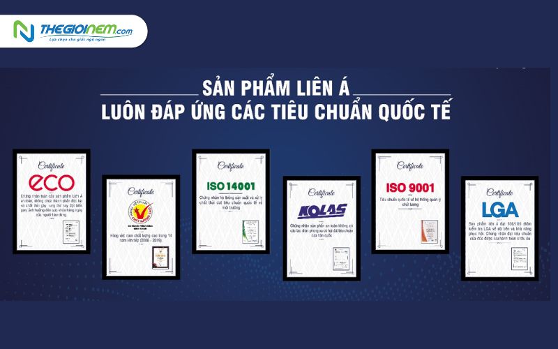 Địa chỉ mua nệm Liên Á trả góp tại quận 3 | Thegioinem.com
