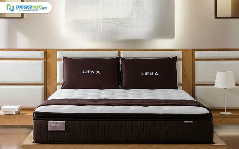 Địa chỉ mua nệm Liên Á trả góp tại quận 3 | Thegioinem.com