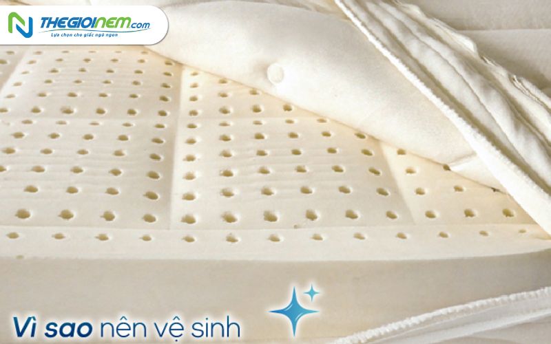 Dịch vụ giặt nệm tại nhà giá rẻ uy tín ở quận 4 | Thegioinem.com