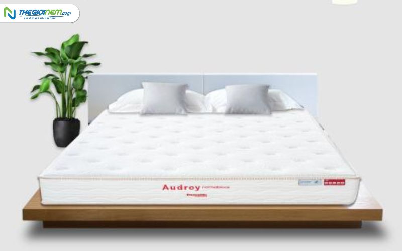 [Báo Long An] Bí kíp chọn nệm ngủ tốt cho sức khỏe - Thế Giới Nệm