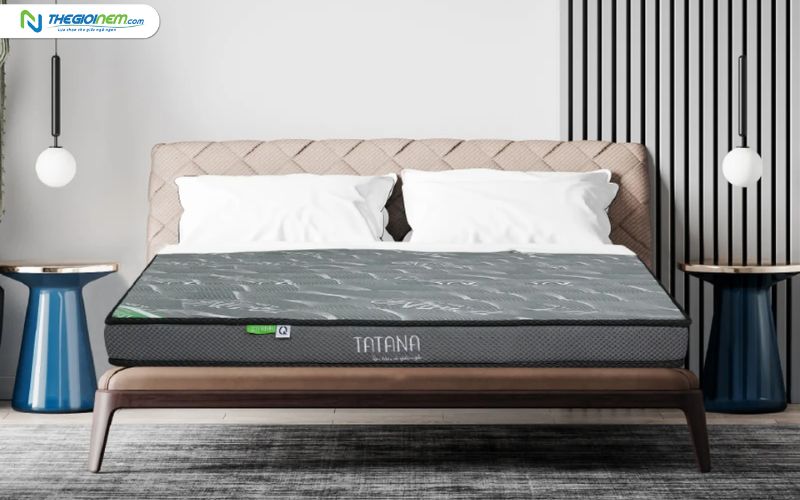 Đại lý nệm cao su TATANA chính hãng giá rẻ tại Tiền Giang