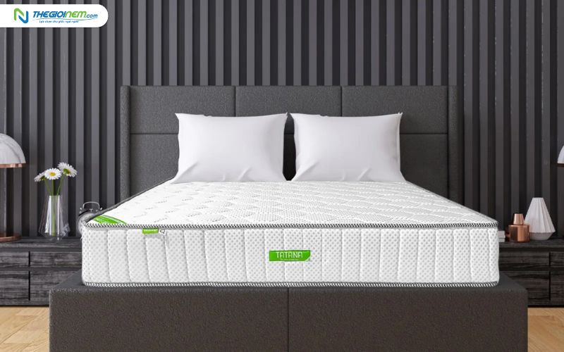 Đại lý nệm cao su TATANA chính hãng giá rẻ tại Tiền Giang