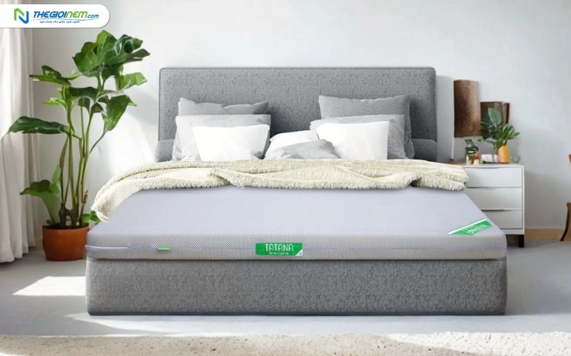 Đại lý nệm cao su TATANA chính hãng giá rẻ tại Tiền Giang