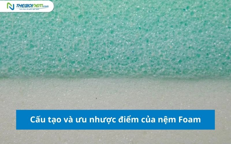 So sánh nệm Foam và nệm bông ép 1