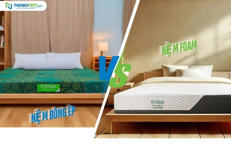 So sánh nệm Foam và nệm bông ép 3