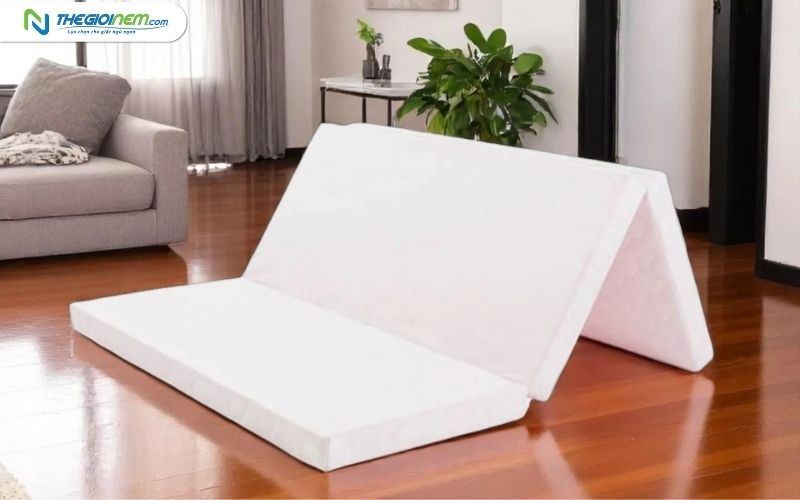 So sánh nệm foam và nệm bông ép