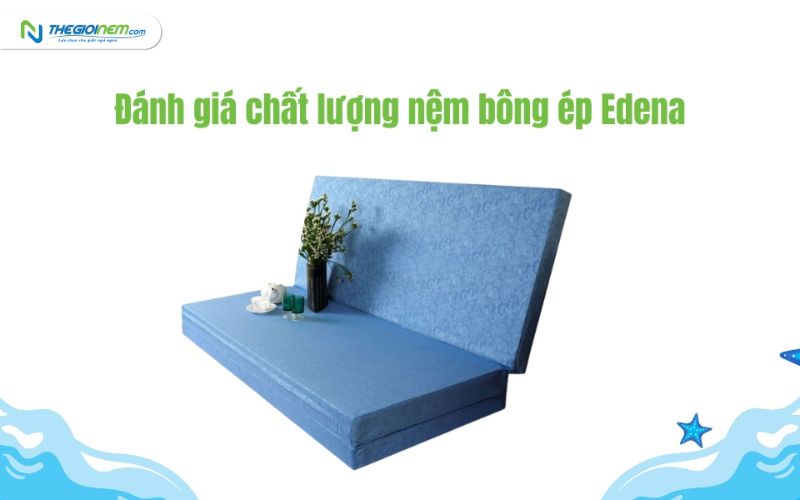 Có nên mua nệm Edena không?