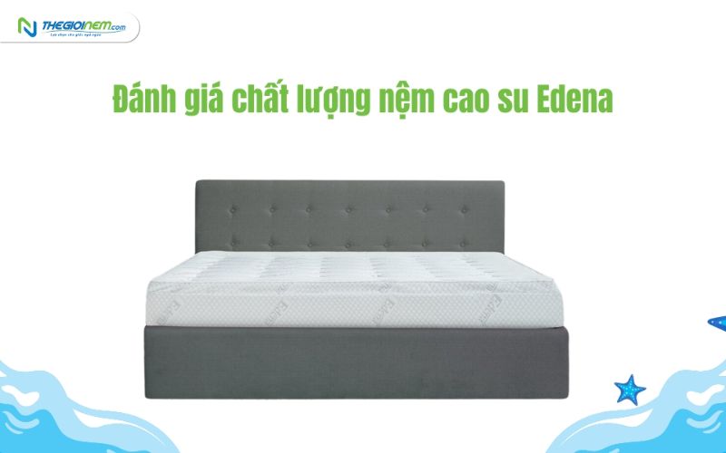 Có nên mua nệm Edena không?