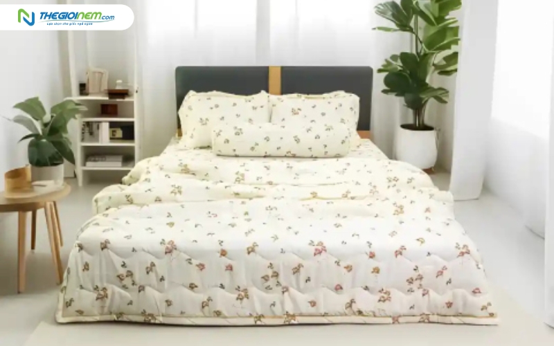 Sử dụng ga giường để bảo quản nệm tốt hơn
