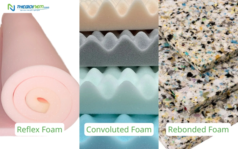 Reflex, Convoluted và rebonded foam