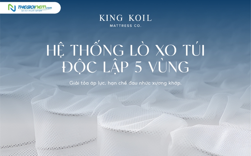 Nệm có hệ thống lò xo túi độc lập nâng đỡ 5 vùng cơ thể