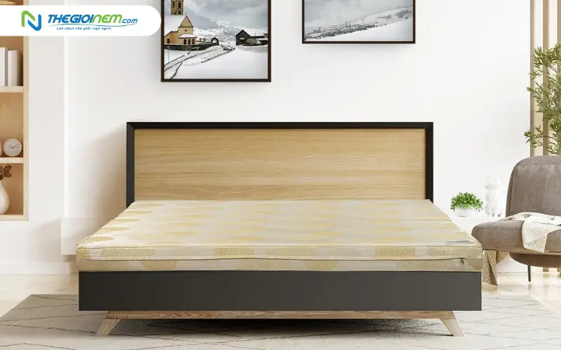 Nệm bông ép 180x200cm Everon Padding