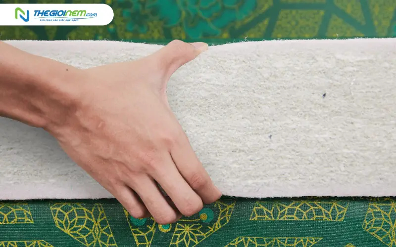 Nệm bông ép có độ dày đến 20cm