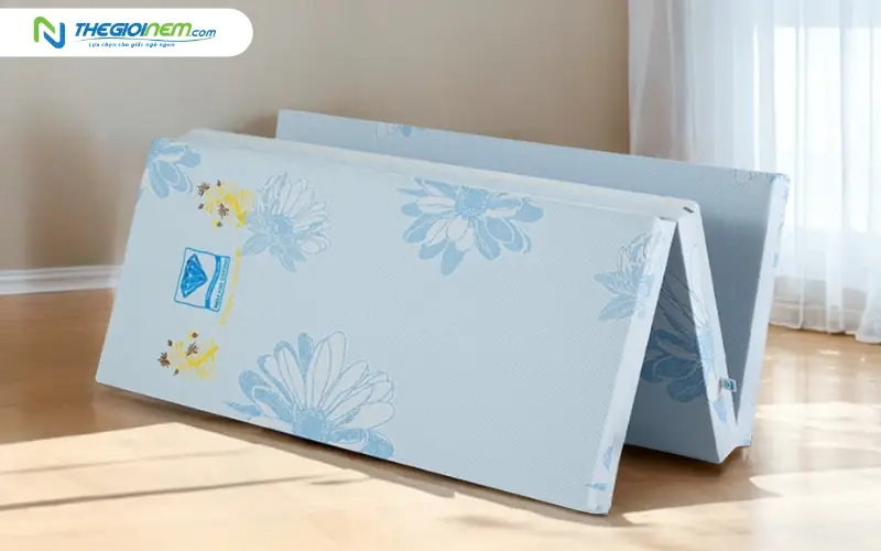 Nệm bông ép Kim Cương Acness
