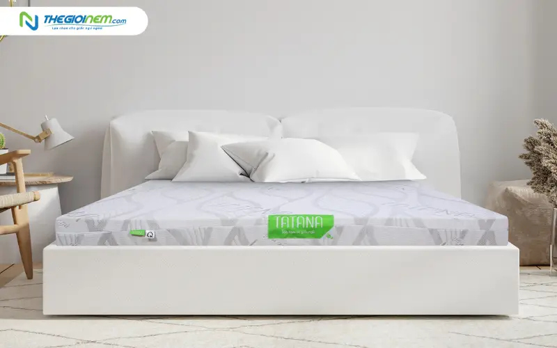 Nệm cao su thiên nhiên TATANA Standard chất lượng