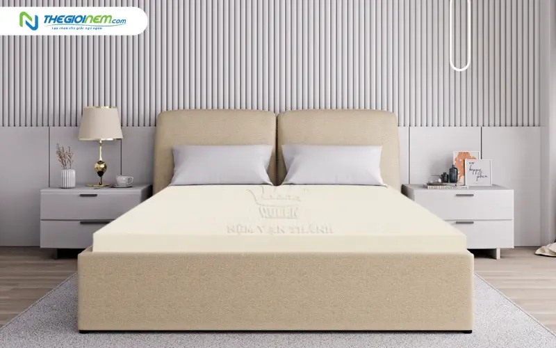 Nệm cao su thiên nhiên Vạn Thành Standard thoáng khí