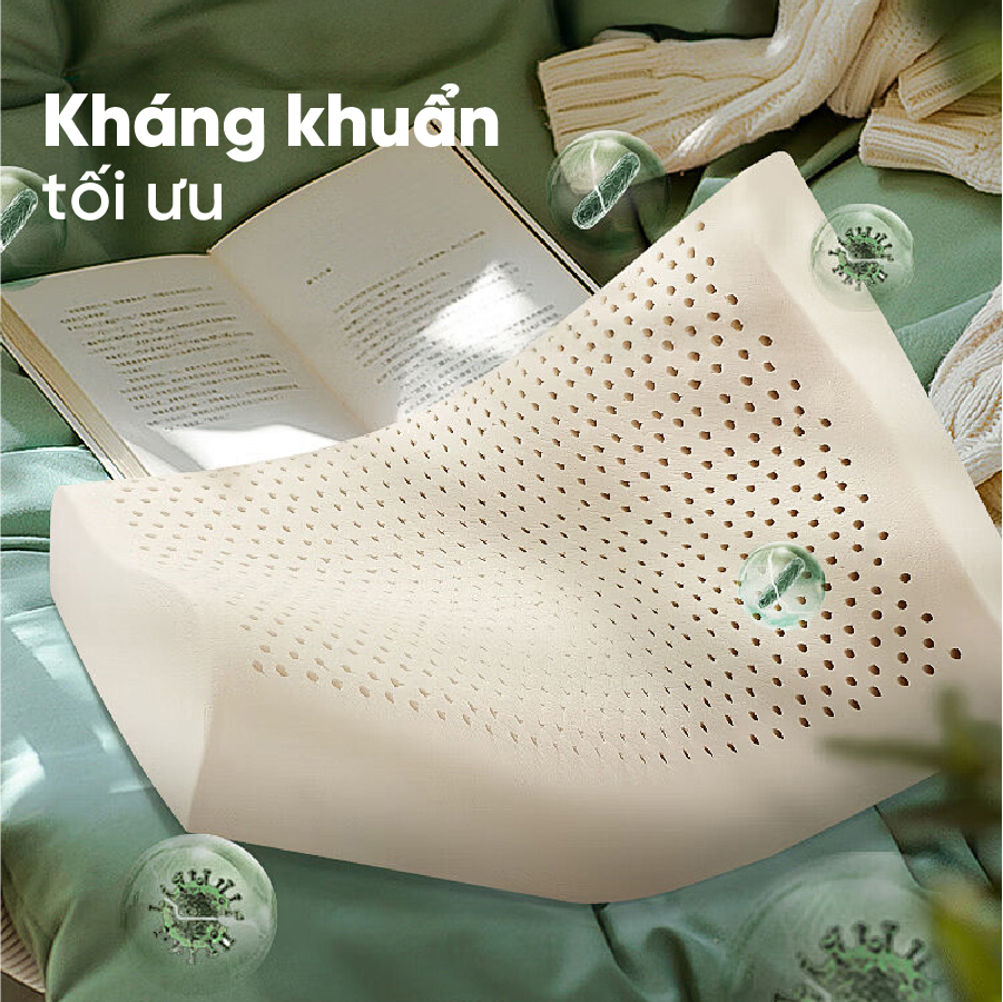 Gối Cao Su Dơn Sóng Tatana