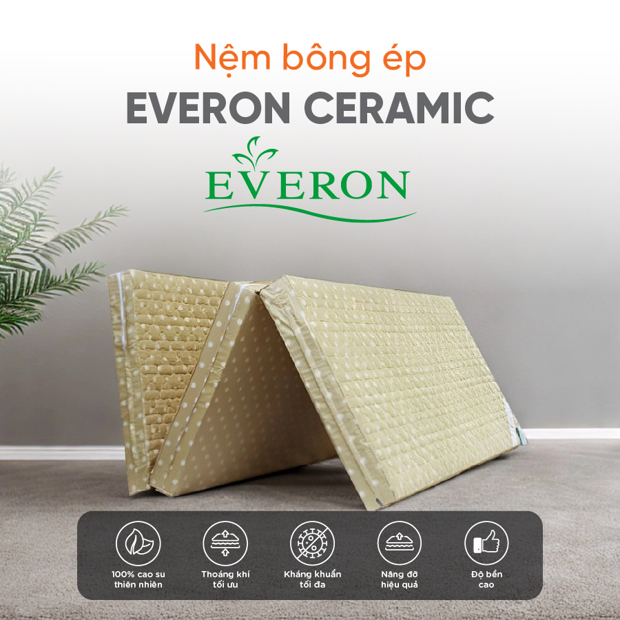 Nệm bông ép Everon Ceramic 1