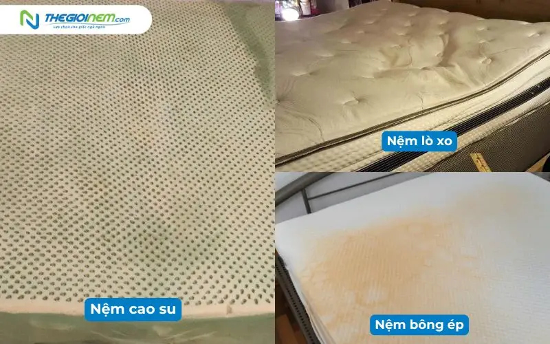 So sánh các chất liệu của nệm