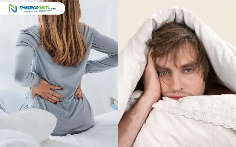 Nệm cao su cho người đau lưng và mất ngủ