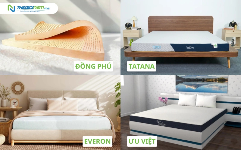 Các thương hiệu nệm cao su giá tốt